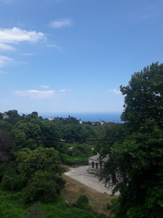 Αρχοντικό Κονάκι- Konaki Pelion Tsagaráda Eksteriør bilde